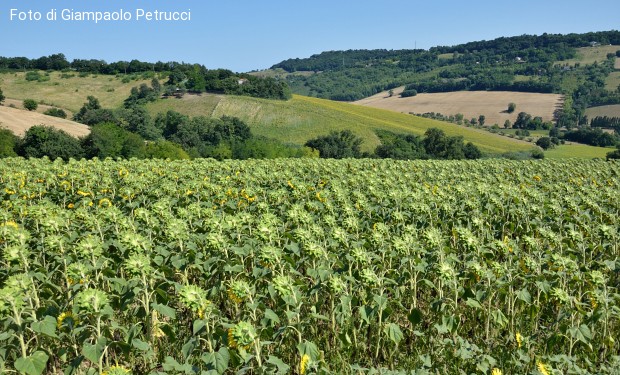 L'ignoranza dei Premi Nobel